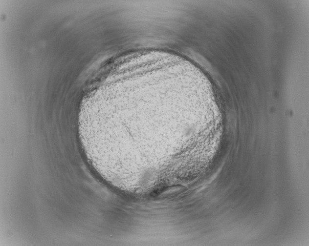 X0000070380577200606301923