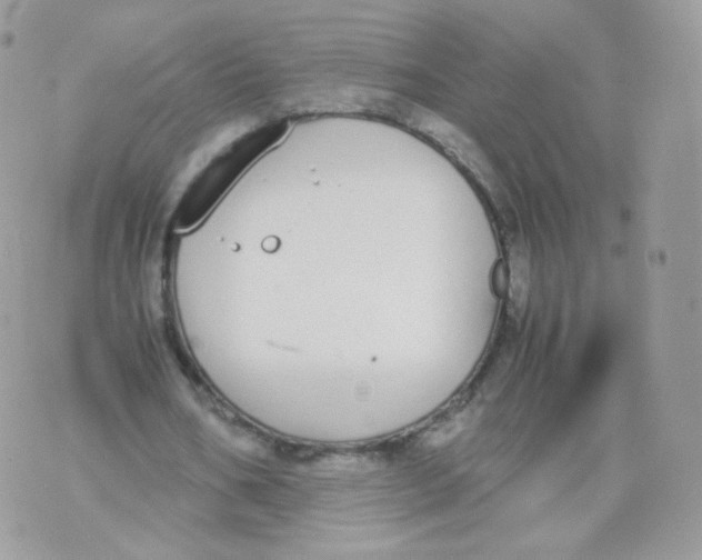 X0000070380578200606301923