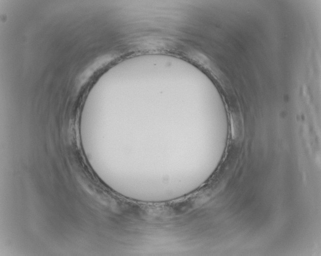 X0000070380579200606301923