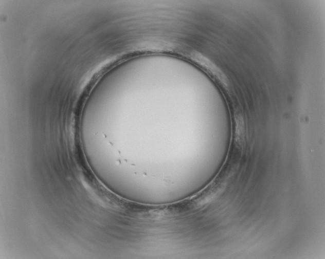 X0000070380580200606301923