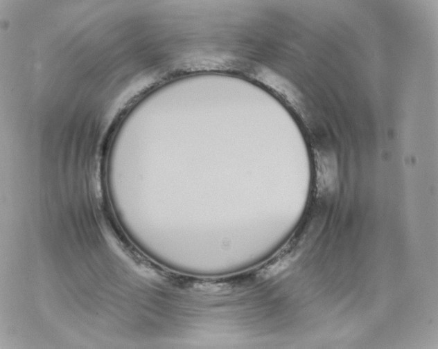 X0000070380582200606301923