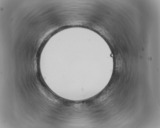 X0000070380584200606301923