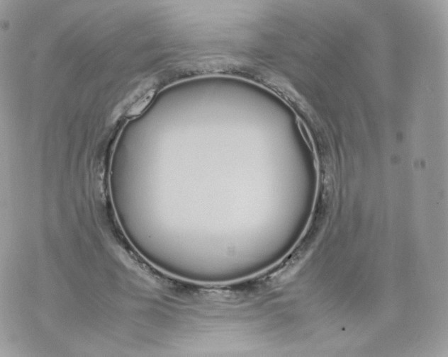 X0000070380585200606301923