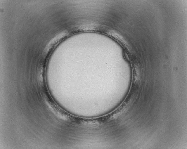 X0000070380586200606301923