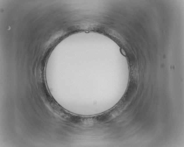 X0000070380587200606301923