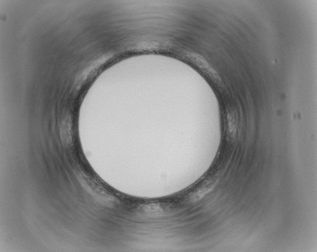 X0000070380588200606301923