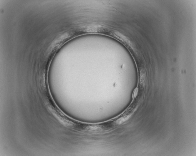 X0000070380589200606301923