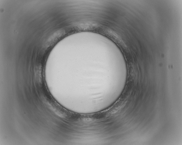 X0000070380590200606301923