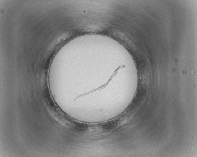 X0000070380591200606301923