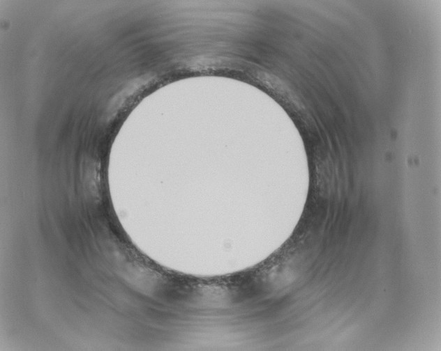 X0000070380592200606301923