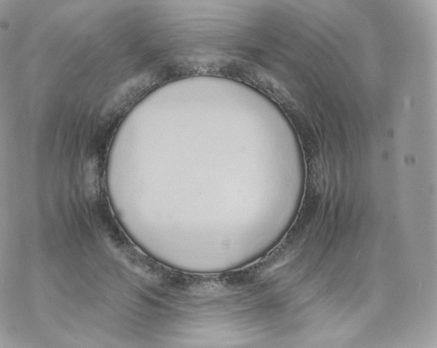 X0000070380594200606301923