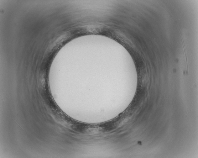 X0000070380595200606301923