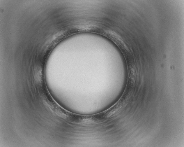 X0000070380596200606301923