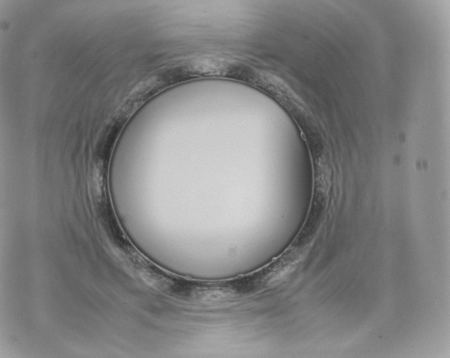 X0000070380597200606301923