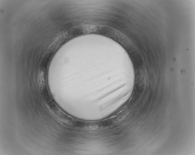 X0000070380598200606301923