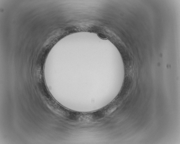 X0000070380599200606301923