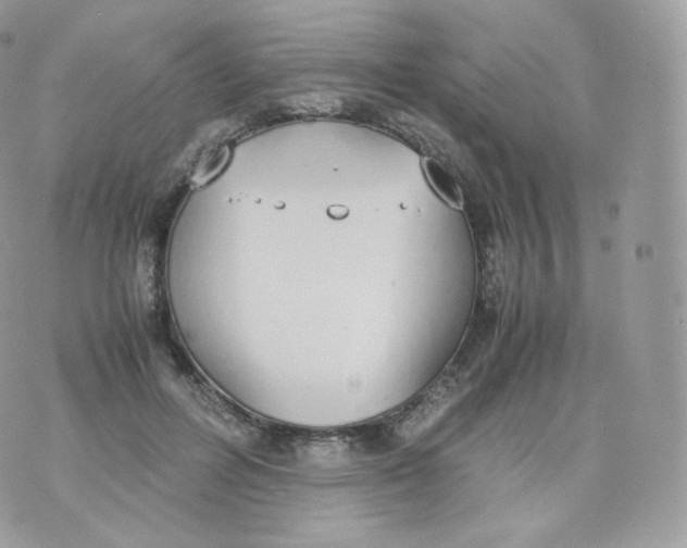 X0000070380600200606301923