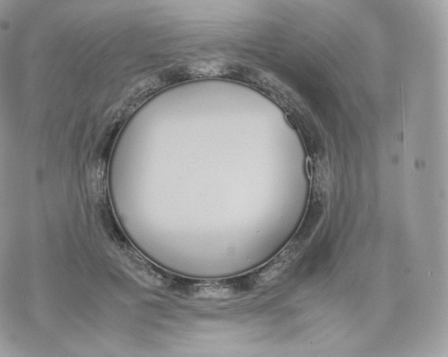 X0000070380601200606301923