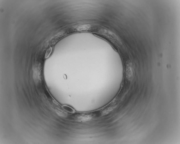 X0000070380604200606301923