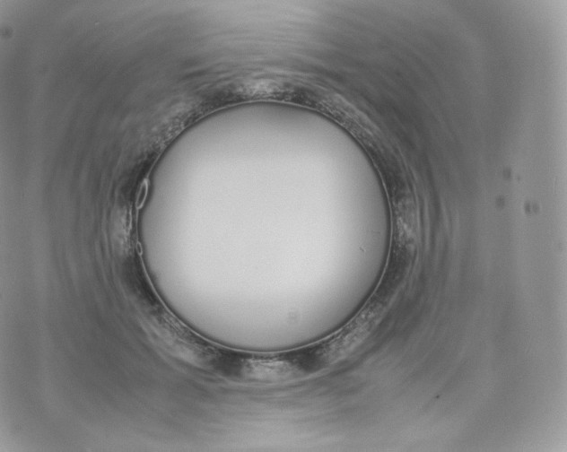 X0000070380605200606301923