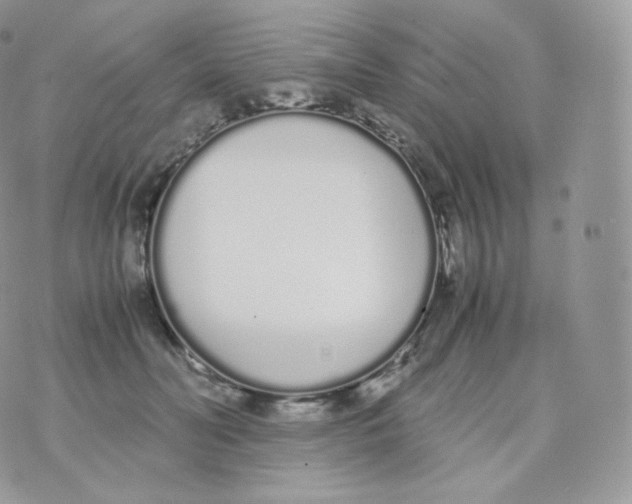 X0000070380606200606301923