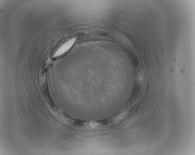 X0000070380607200606301923