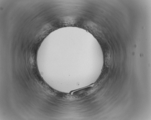 X0000070380608200606301923