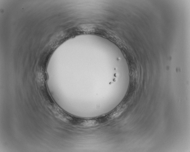 X0000070380609200606301923