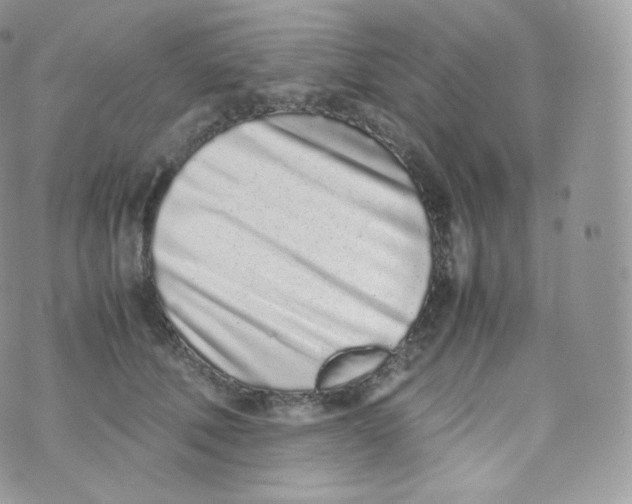 X0000070380610200606301923