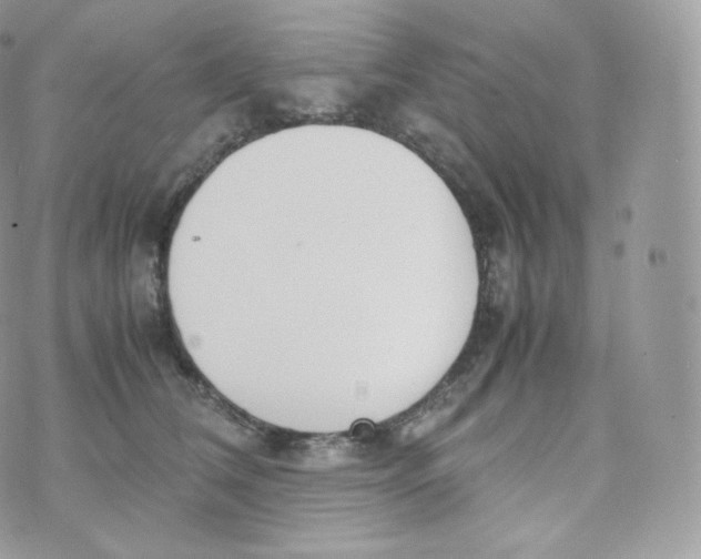 X0000070380612200606301923