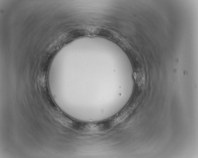 X0000070380613200606301923