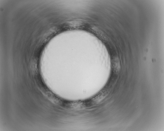 X0000070380615200606301923