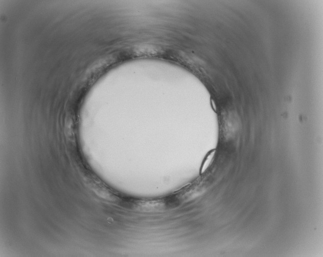 X0000070380619200606301923