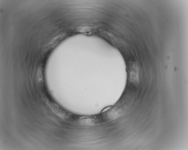 X0000070380620200606301923