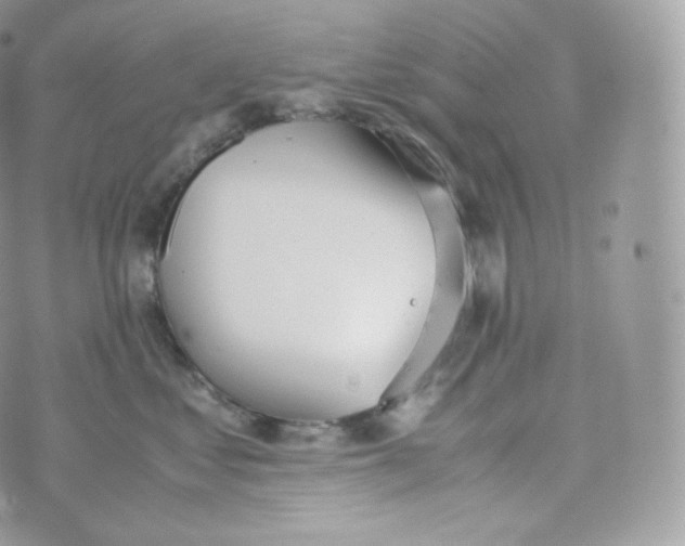 X0000070380621200606301923