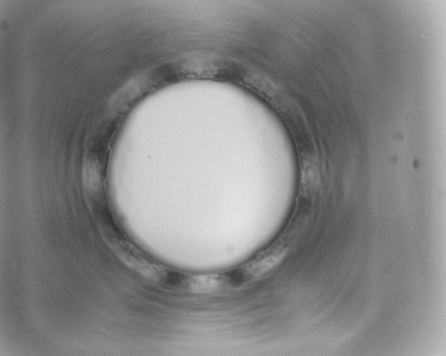 X0000070380623200606301923