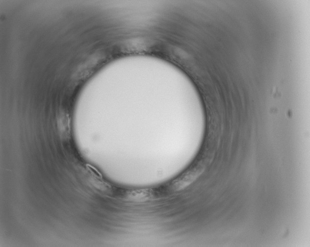 X0000070380624200606301923