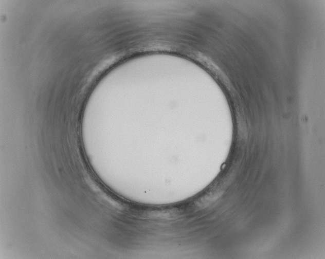 X0000070380625200606301922