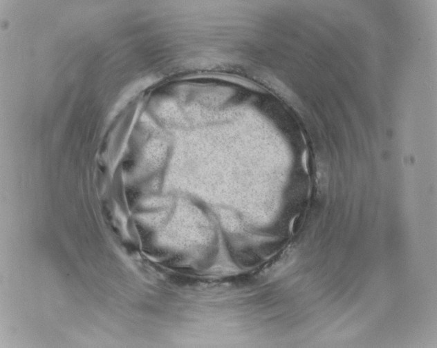 X0000070380626200606301922