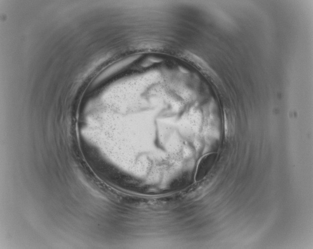 X0000070380627200606301922