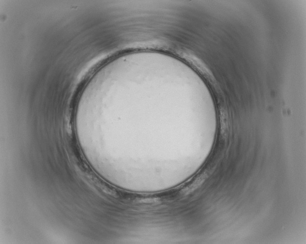 X0000070380628200606301922