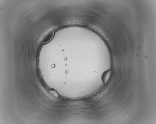 X0000070380629200606301922