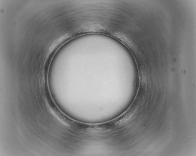 X0000070380630200606301922