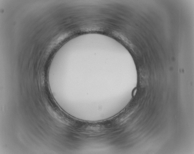 X0000070380631200606301922