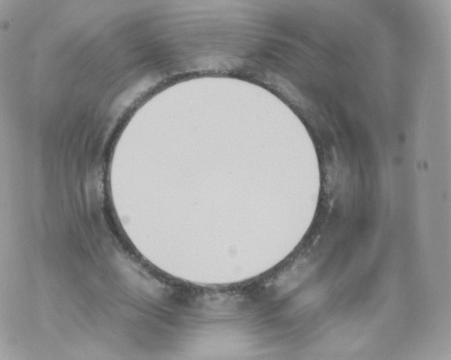 X0000070380632200606301922