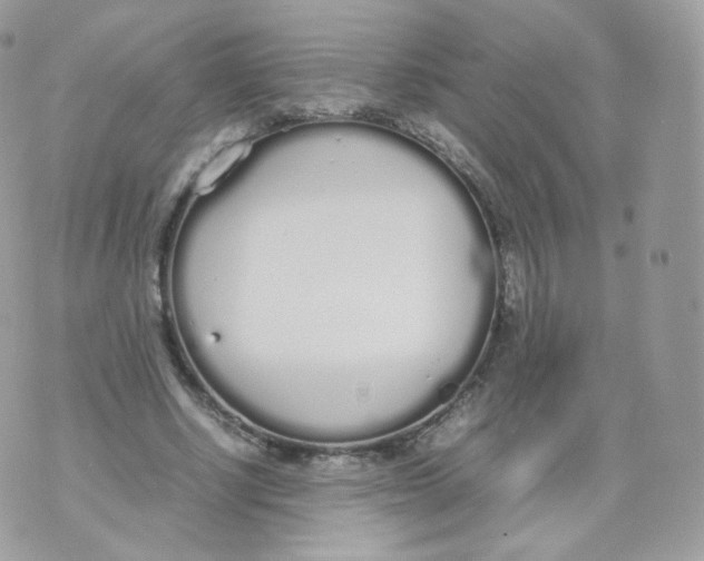 X0000070380634200606301922