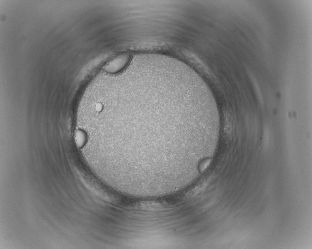 X0000070380636200606301922