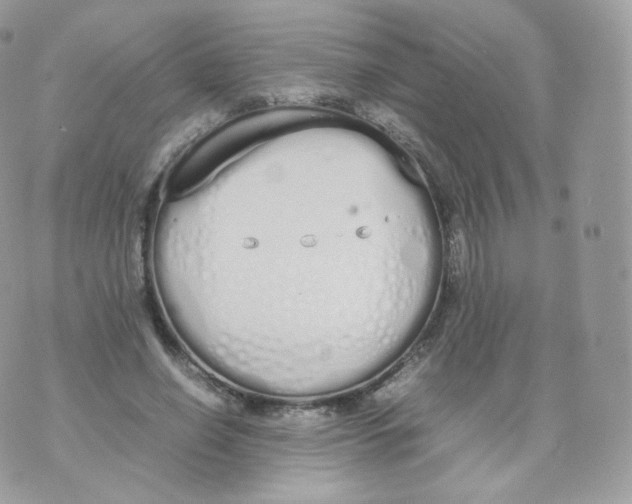 X0000070380638200606301922