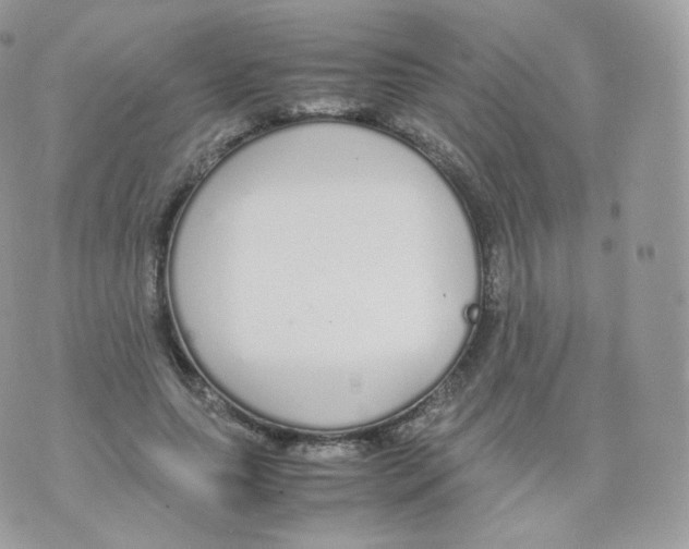 X0000070380639200606301922