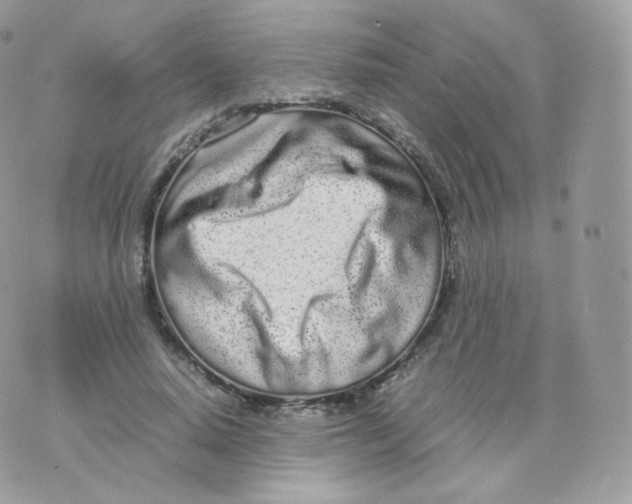 X0000070380640200606301922